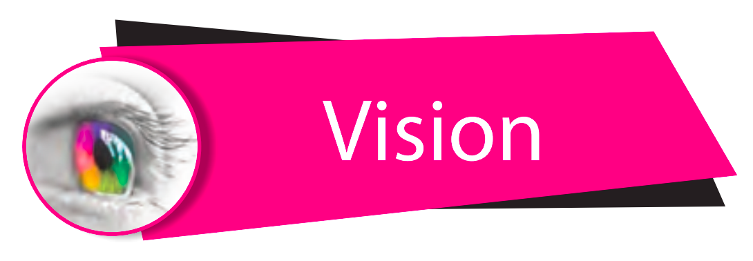 Vision
